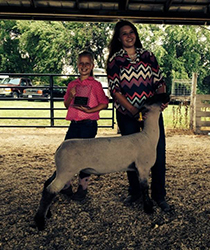 Mennen Club Lambs