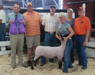 Mennen Club Lambs