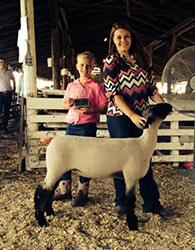 Mennen Club Lambs