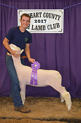 Mennen Club Lambs Winners