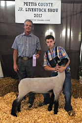 Mennen Club Lambs Winners