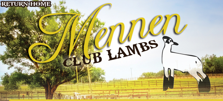 Mennen Club Lambs