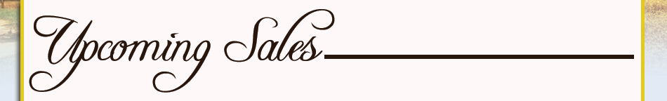 Upcoming Sales